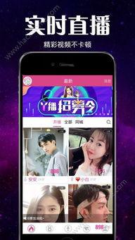 曼谷老白最新爆料新闻直播,最新爆料新闻背后的真相